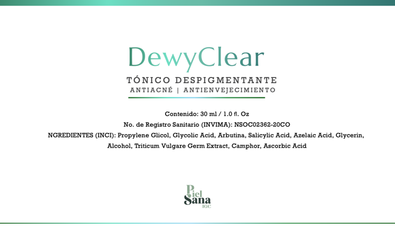 Portafolio Dewyclear5